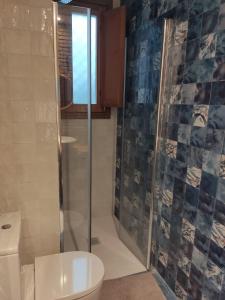 a bathroom with a shower and a toilet at Casa de la escalera 1ª D in Córdoba