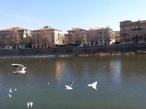 Vista sul fiume nelle vicinanze dell'affittacamere