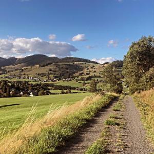 eine unbefestigte Straße, die zu einem grünen Feld mit Hügeln führt in der Unterkunft Naturparkhotel Schwarzwaldhaus in Bernau im Schwarzwald