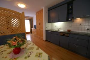 Kuchyň nebo kuchyňský kout v ubytování Appartamenti Residence Pars