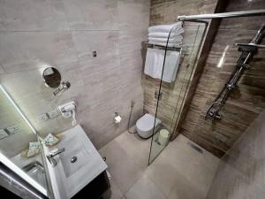 a bathroom with a shower and a toilet and a sink at Petra Icon Hotel in Wadi Musa