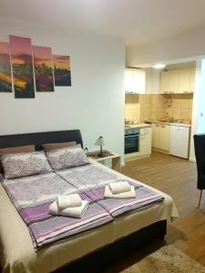 ein Schlafzimmer mit einem großen Bett mit zwei Kissen darauf in der Unterkunft Laguna apartman 2 in Niš
