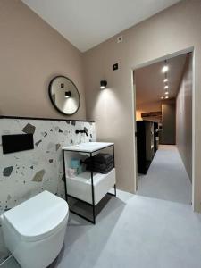 ペンブルックシャーにあるSubterranean Studio with Panoramic Costal Viewsのバスルーム(トイレ、洗面台、鏡付)