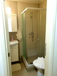 ein Bad mit einer Dusche, einem WC und einem Waschbecken in der Unterkunft Laguna apartman 2 in Niš