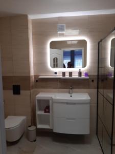 a bathroom with a sink and a toilet and a mirror at Apartament nad wodą 2 in Marzęcino