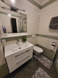 a bathroom with a sink and a toilet and a mirror at Apartment Tonci Vrbani in Zagreb