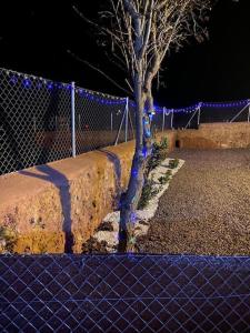 a tree sitting next to a fence with blue lights at Casa De La Era 