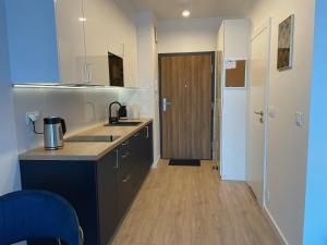 cocina con fregadero y suelo de madera en Apartament przy Marsa, en Varsovia