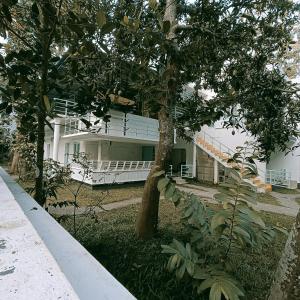 uma casa branca com árvores em frente em Molly's Hostel em Varkala