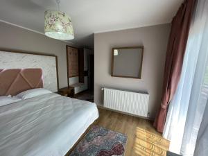 een slaapkamer met een bed, een spiegel en een raam bij Pensiunea ACASA LA VLADUȚ in Borşa