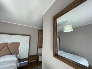 博爾沙的住宿－Pensiunea ACASA LA VLADUȚ，一面墙上的镜子,床边