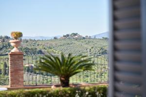 a palm tree in front of a hill with a house at Residenza Il Colle in Impruneta