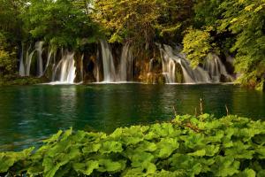 una cascata in mezzo ad un fiume con alberi di Guesthouse Villa Plitvička a Laghi di Plitvice