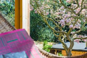 Glastonbury, large House Stunning views 2 to 5 bedrooms, 3 receptions turn into bedrooms外面的花园