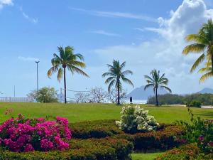 Jardin de l'établissement Studio vue mer RDC dans village vacances