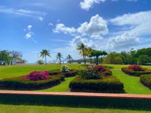 Jardin de l'établissement Studio vue mer RDC dans village vacances