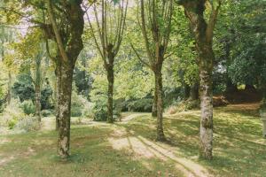 ścieżka przez las drzew w parku w obiekcie Les Jardins de Bathilde - Au sein du Château de Bothané w mieście Guidel