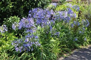 Photo de la galerie de l'établissement Studio indépendant sur jardin proche Lorient, à Quéven 5 autres photos