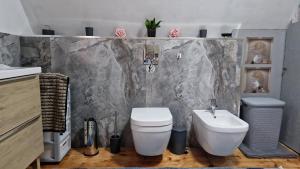 サシノにあるDomek letniskowy Wczasy nad morzemのトイレと洗面台付きのバスルーム +29枚の写真