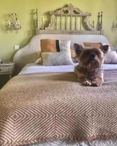 Uma cama ou camas num quarto em Villa Silene