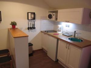 eine kleine Küche mit einer Spüle und einer Theke in der Unterkunft Studio 4 pers avec balcon sud et WIFI, Brides-les-Bains - FR-1-512-135 in Brides-les-Bains