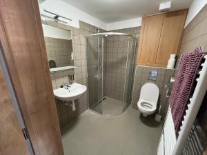 Koupelna v ubytování Apartmány Pod Věží Borovany
