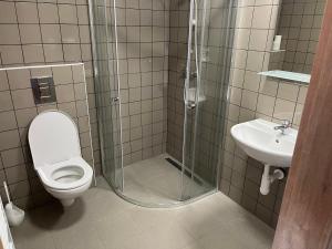 Koupelna v ubytování Apartmány Pod Věží Borovany