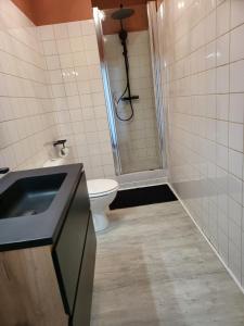 a bathroom with a shower and a toilet and a sink at le T2 d'henri in Agen