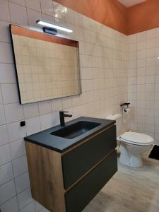 a bathroom with a sink and a toilet at le T2 d'henri in Agen