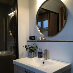 a bathroom with a sink and a mirror at La Maison Rouge de Slätten Bed and Breakfast in Vilshult