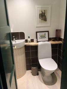ein Bad mit einem WC und einem Waschbecken in der Unterkunft La Maison Rouge de Slätten Bed and Breakfast in Vilshult