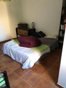 Posteľ alebo postele v izbe v ubytovaní Villa en corse du sud entre mer et montagne