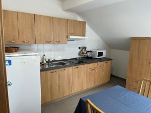 Kuchyň nebo kuchyňský kout v ubytování Apartmány Pod Věží Borovany