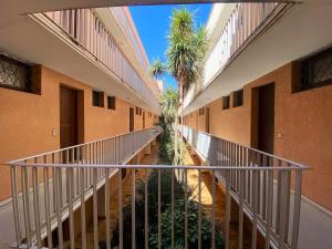 einen leeren Flur mit Palmen in einem Gebäude in der Unterkunft Appartement charmant à Saint-Cyprien Plage - 34 m² + Terrasse in Saint Cyprien Plage