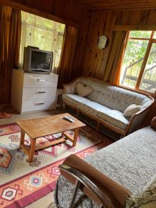 ein Wohnzimmer mit einem Sofa und einem TV in der Unterkunft Oran Ağaç Bungalovs in Kemer