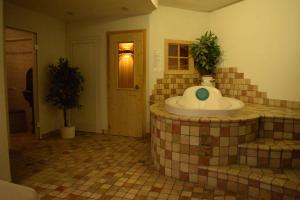 a bathroom with a sink in the middle of a room at HOTEL BOSCO VERDE in Val di Zoldo