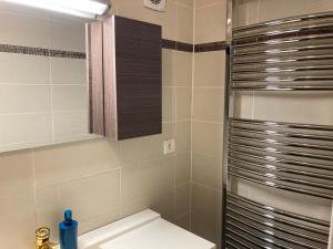 a bathroom with a shower with a toilet and a sink at Appartement Brides-les-Bains, 3 pièces, 4 personnes - FR-1-512-267 in Brides-les-Bains
