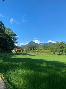 a large field of grass with mountains in the background at Ha Giang Lake View House in Ha Giang +8 photos