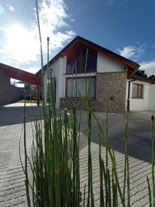 une maison avec beaucoup de plantes devant elle dans l'établissement La Casita, à Esquel