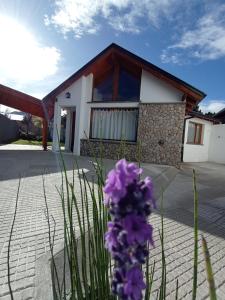 ein Haus mit lila Blumen davor in der Unterkunft La Casita in Esquel