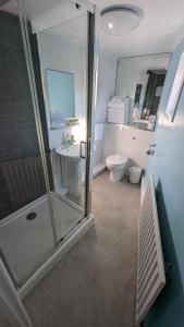 a bathroom with a shower and a toilet and a sink at The Mansion in Whitehaven