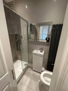 een badkamer met een douche, een toilet en een spiegel bij Stunning 2 bedroom let’s BBQ. in Brighton & Hove