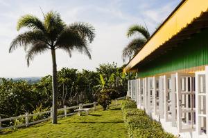 a palm tree next to a building with a fence at Galina Breeze in Port Maria