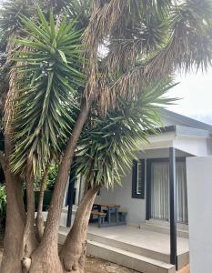 Gallery image of 6 on Columbus Guesthouse in Edenvale