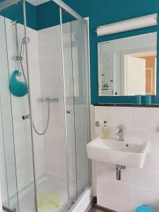 a bathroom with a shower and a sink at Ferienwohnungen Lebenswert Ferienwohnung Lebenswert I in Meersburg