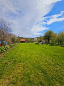 un gran campo de césped verde con una casa en el fondo en Fruška house en Bešenovački Prnjavor