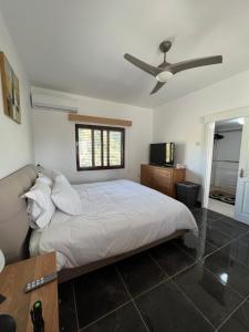 - une chambre avec un lit et un ventilateur de plafond dans l'établissement Ultra deluxe Villa, à Kyrenia