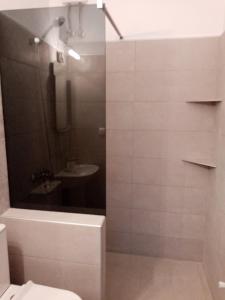 a bathroom with a shower and a toilet and a sink at Deaspoina Apartments in Nea Roda