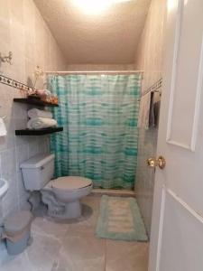 a bathroom with a toilet and a green shower curtain at Casa Gaviotas Art cozy 2 bed house with art studio close to downtown in La Paz