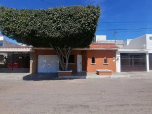 uma casa com uma árvore em frente em Casa Gaviotas Art cozy 2 bed house with art studio close to downtown em La Paz